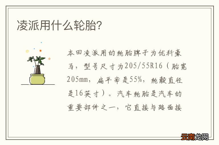 凌派用什么轮胎？