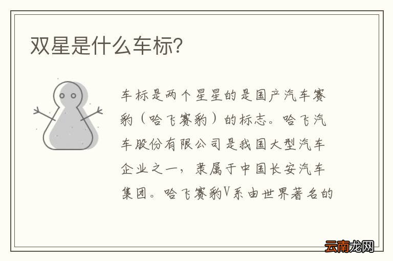 双星是什么车标？