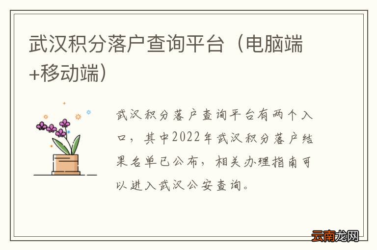 电脑端+移动端 武汉积分落户查询平台