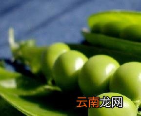 豌豆的功效 贮存要领和饮食宜忌