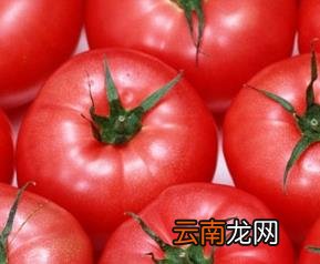 不同颜色番茄的养价值
