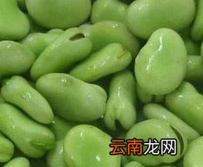 蚕豆栽培技术措施