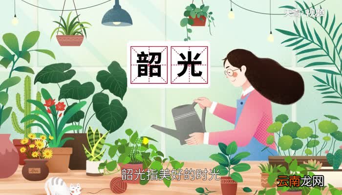 韶怎么读 韶的读法