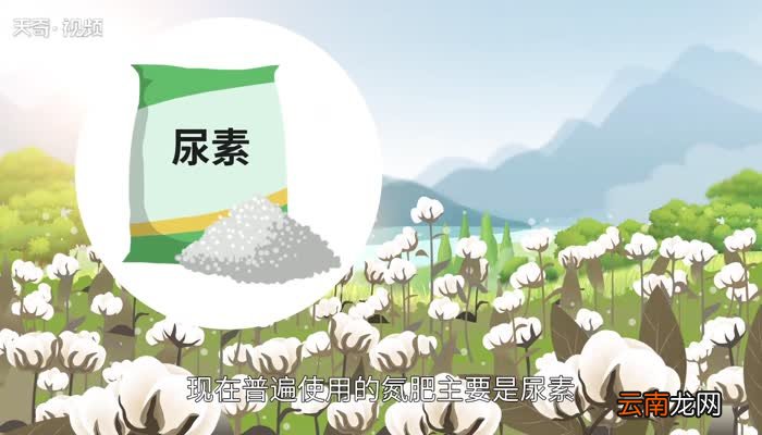 什么是氮肥氮肥是什么肥