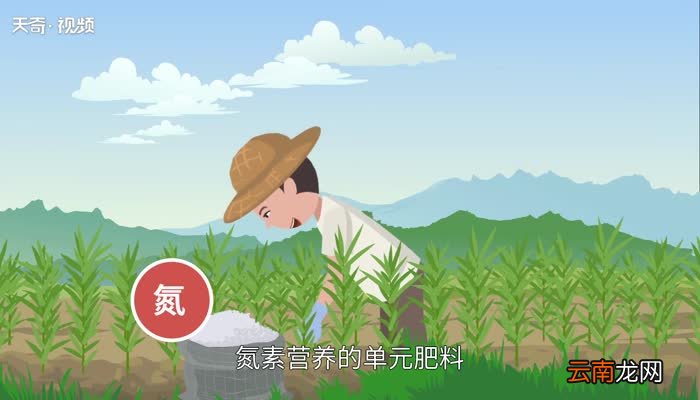什么是氮肥氮肥是什么肥