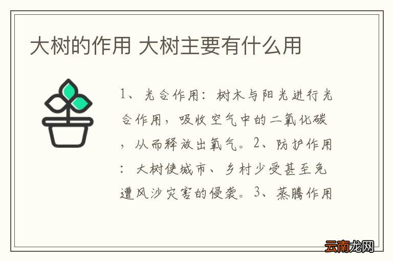 大树的作用 大树主要有什么用