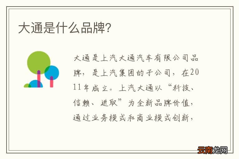 大通是什么品牌？
