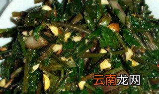 苦菜怎么凉拌好吃 苦菜怎么凉拌的好吃