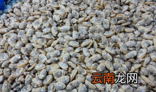 蚬子肉怎么做好吃 蚬子肉简单做法