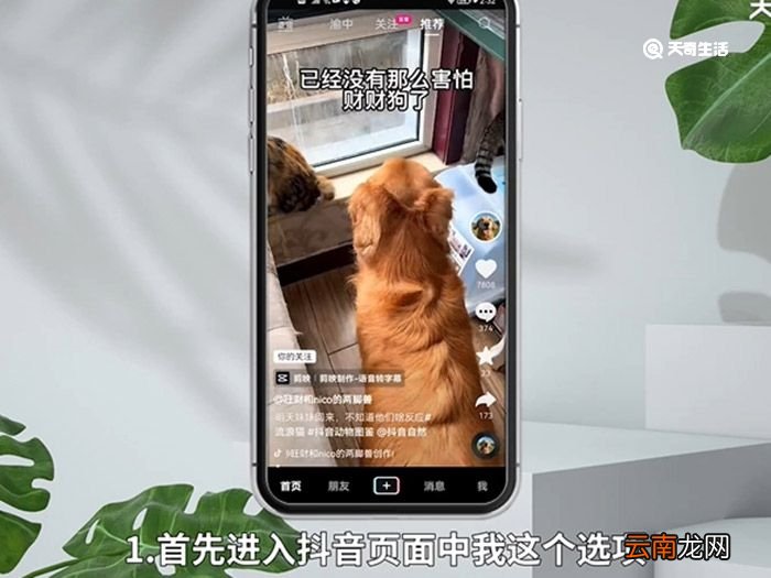 抖音怎么关闭送小心心 抖音在哪里关闭送小心心