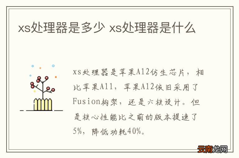 xs处理器是多少 xs处理器是什么