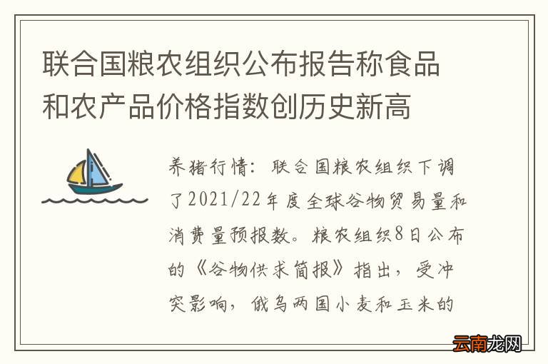联合国粮农组织公布报告称食品和农产品价格指数创历史新高