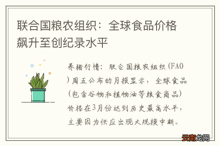 联合国粮农组织：全球食品价格飙升至创纪录水平