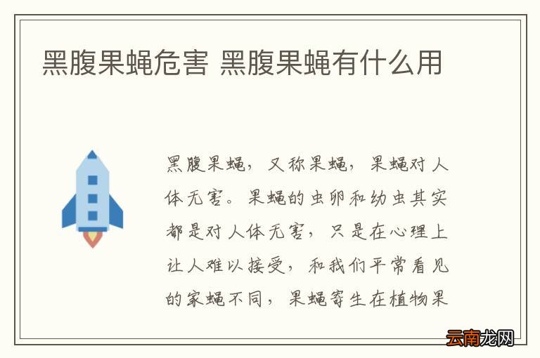 黑腹果蝇危害 黑腹果蝇有什么用