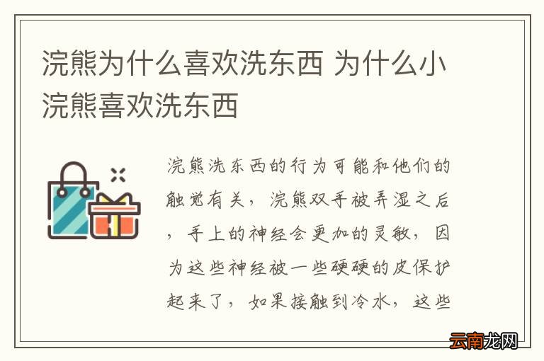 浣熊为什么喜欢洗东西 为什么小浣熊喜欢洗东西