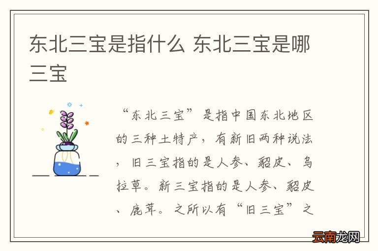 东北三宝是指什么 东北三宝是哪三宝