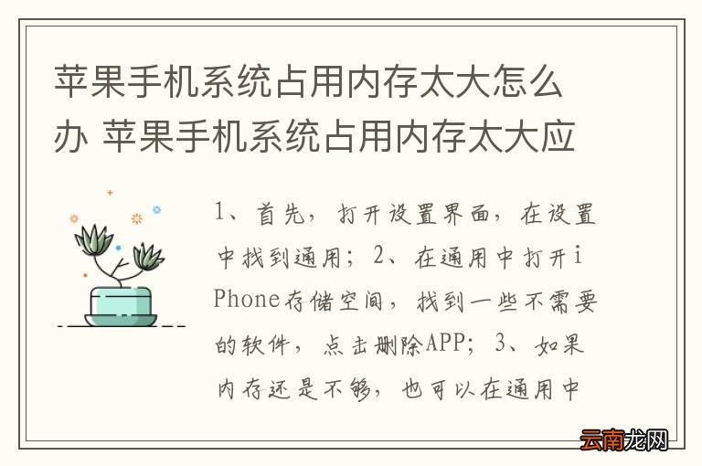 苹果手机系统占用内存太大怎么办 苹果手机系统占用内存太大应该如何解决