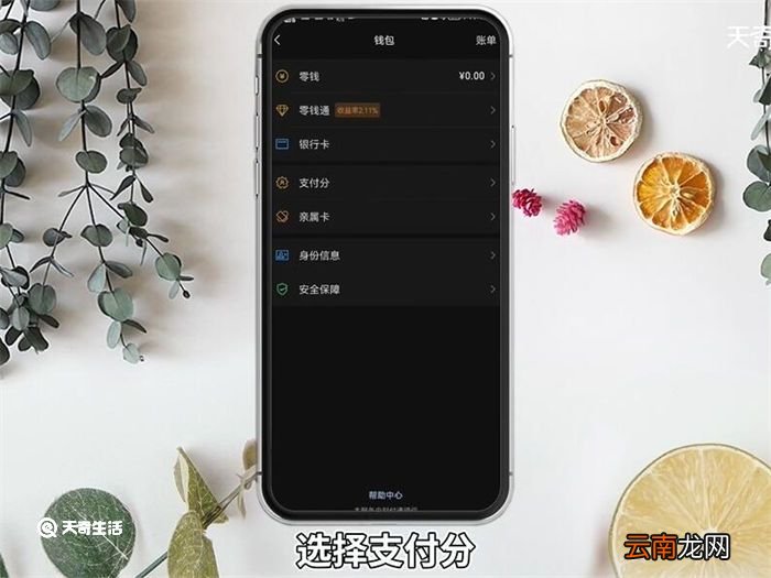 微信版花呗功能怎么开通 微信版花呗功能开通方法