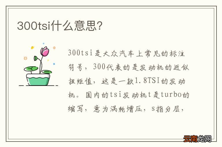 300tsi什么意思？
