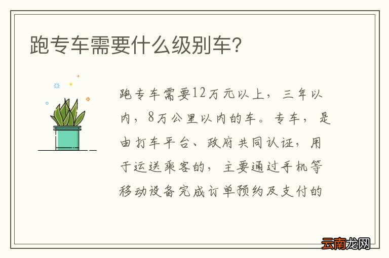 跑专车需要什么级别车？