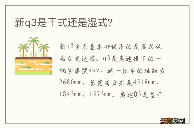 新q3是干式还是湿式？