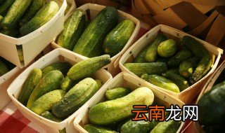 黄瓜菜怎么拌好吃 黄瓜菜的拌法