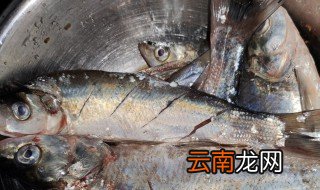 小翘嘴鱼怎么做好吃 怎么做小翘嘴鱼