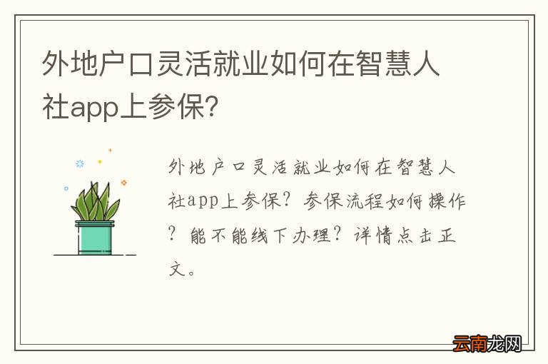外地户口灵活就业如何在智慧人社app上参保？