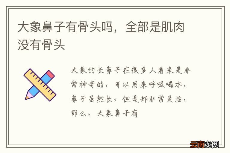 大象鼻子有骨头吗，全部是肌肉没有骨头