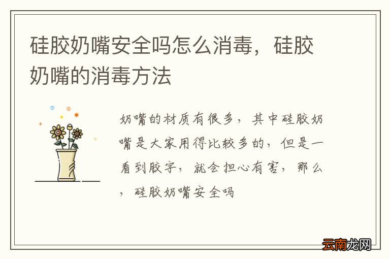 硅胶奶嘴安全吗怎么消毒，硅胶奶嘴的消毒方法