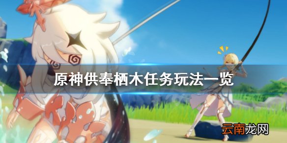 原神鹤观岛迷雾解谜怎么玩 原神供奉栖木任务玩法一览