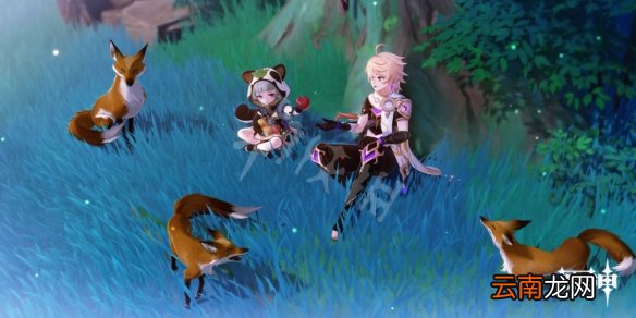 原神早柚邀约任务怎么玩 原神邀约事件早柚全结局玩法分享