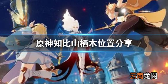 原神知比山栖木去哪找 原神知比山栖木位置分享
