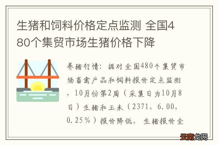 生猪和饲料价格定点监测 全国480个集贸市场生猪价格下降