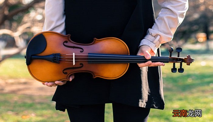 小提琴有几根弦 小提琴一共有几根弦