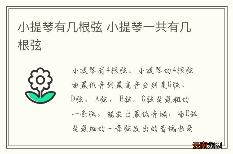 小提琴有几根弦 小提琴一共有几根弦