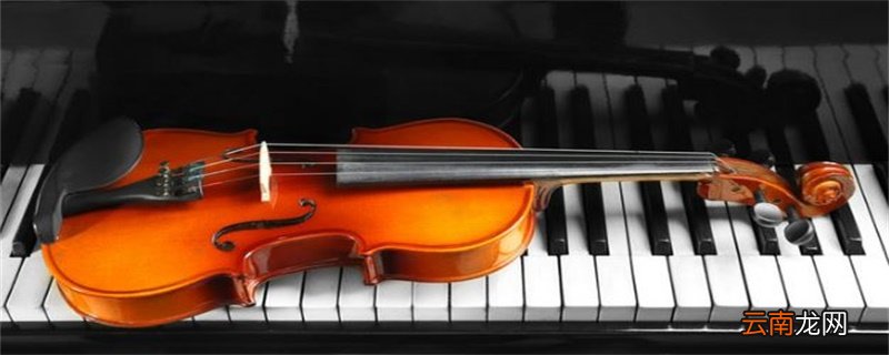 小提琴有几根弦 小提琴一共有几根弦