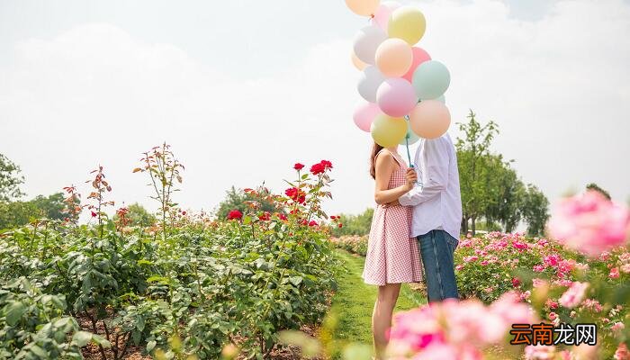 感恩相遇的唯美句子 感谢相遇的句子