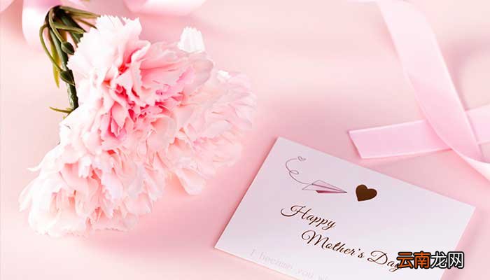 康乃馨花语 康乃馨的花语是什么