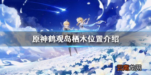 原神栖木位置在哪 原神鹤观岛栖木位置介绍