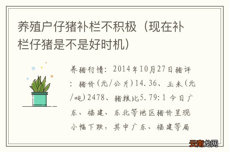 现在补栏仔猪是不是好时机 养殖户仔猪补栏不积极