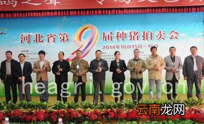 河北省第九届种猪拍卖会在石家庄举行