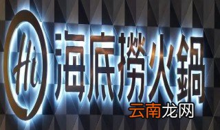 海底捞为什么招本科生