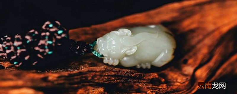 貔貅是什么动物 貔貅是什么