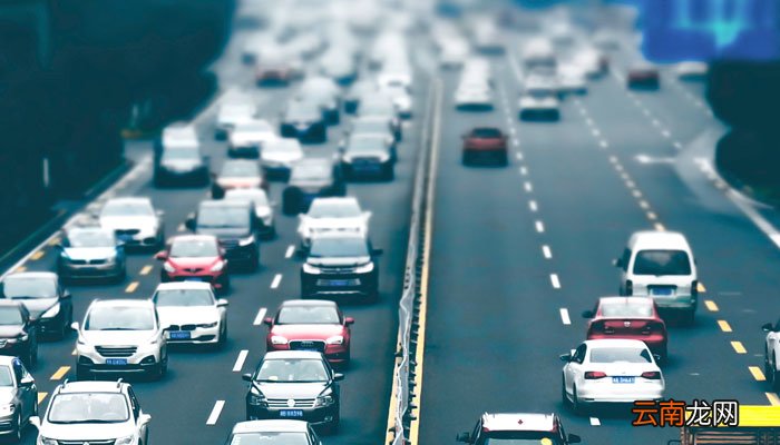 浙d是哪里的车牌 浙d是什么地方的车牌