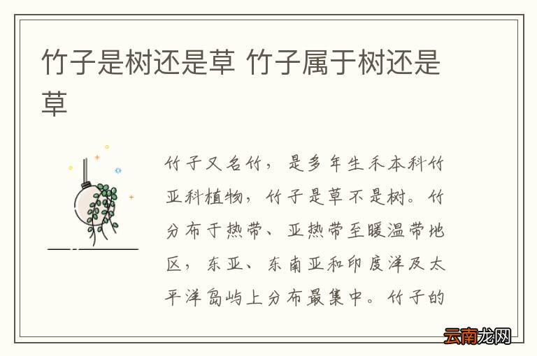 竹子是树还是草 竹子属于树还是草