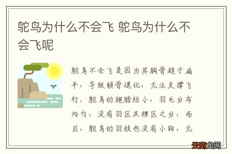 鸵鸟为什么不会飞 鸵鸟为什么不会飞呢
