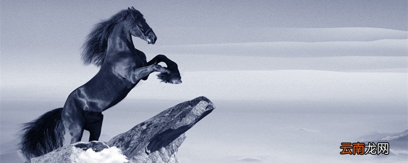 自强不息代表什么动物 代表自强不息的动物