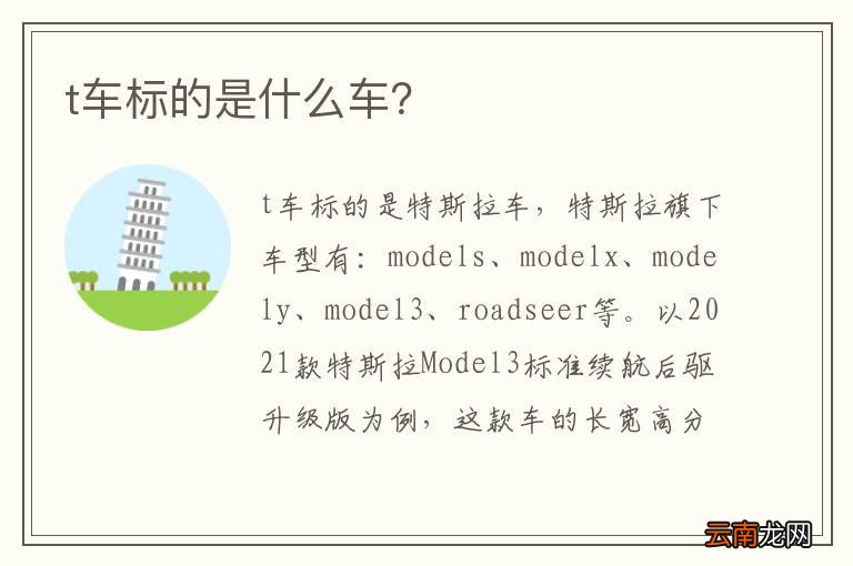 t车标的是什么车？
