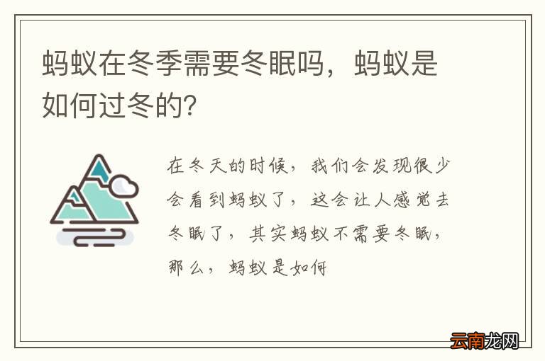 蚂蚁在冬季需要冬眠吗，蚂蚁是如何过冬的？